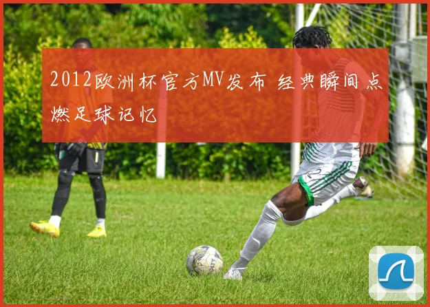 2012欧洲杯官方MV发布 经典瞬间点燃足球记忆