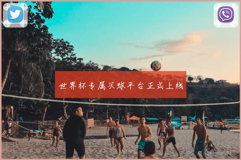 世界杯专属买球平台正式上线