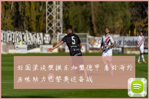 刘国梁谈樊振东加盟德甲 看好海外历练助力巴黎奥运备战